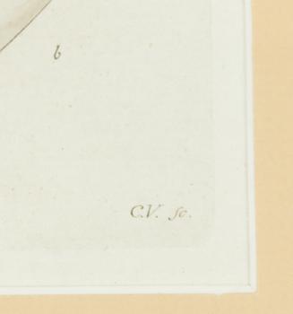 Twelve hand-coloured engravings, J.W. Palmstruch, from 'Svensk Botanik', 1802-1840.