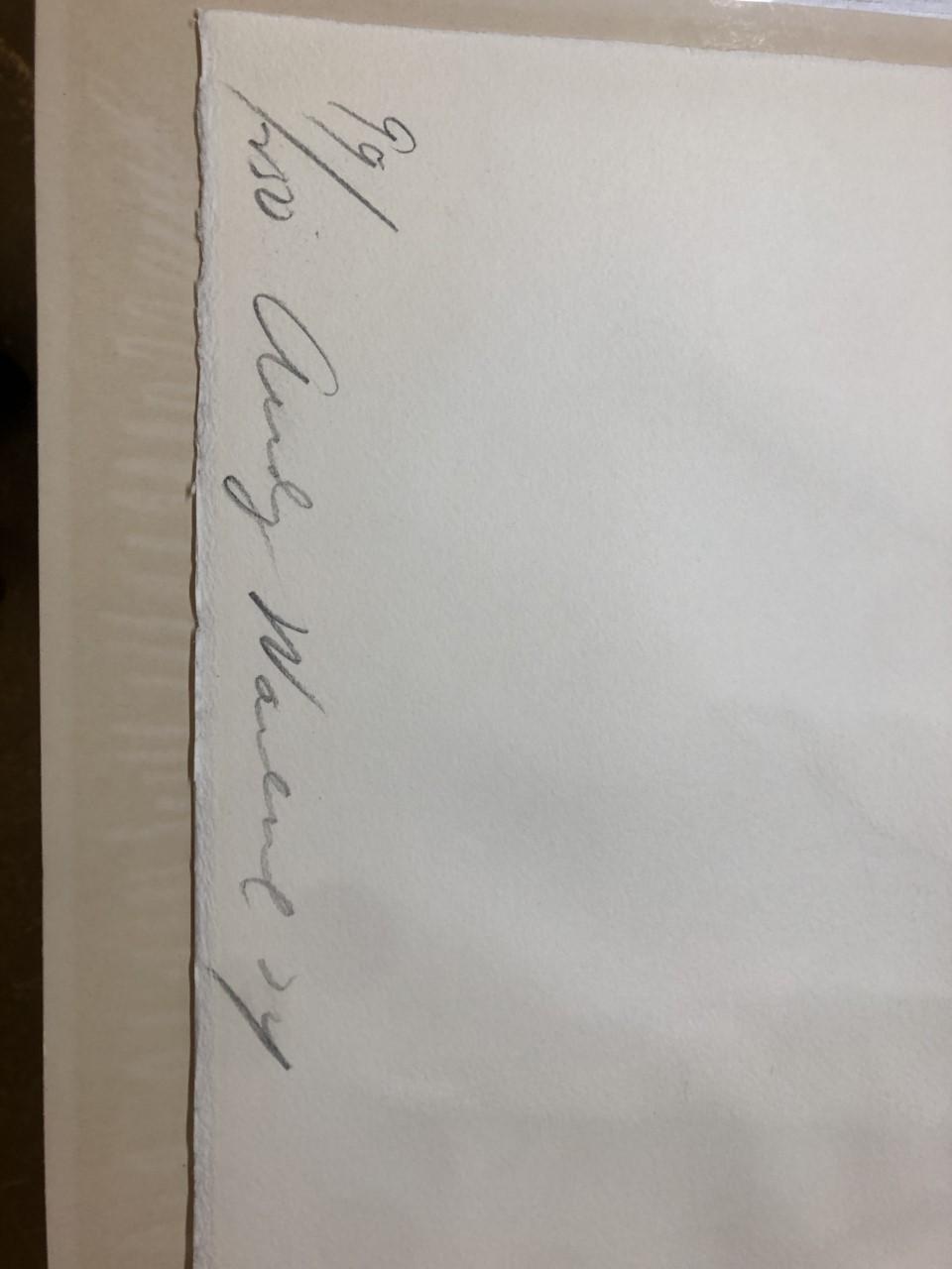 ANDY WARHOL,Silkscreen 1974, on Arches paper, signed with initials in pencil, and also signed and numbered 99/250 verso.