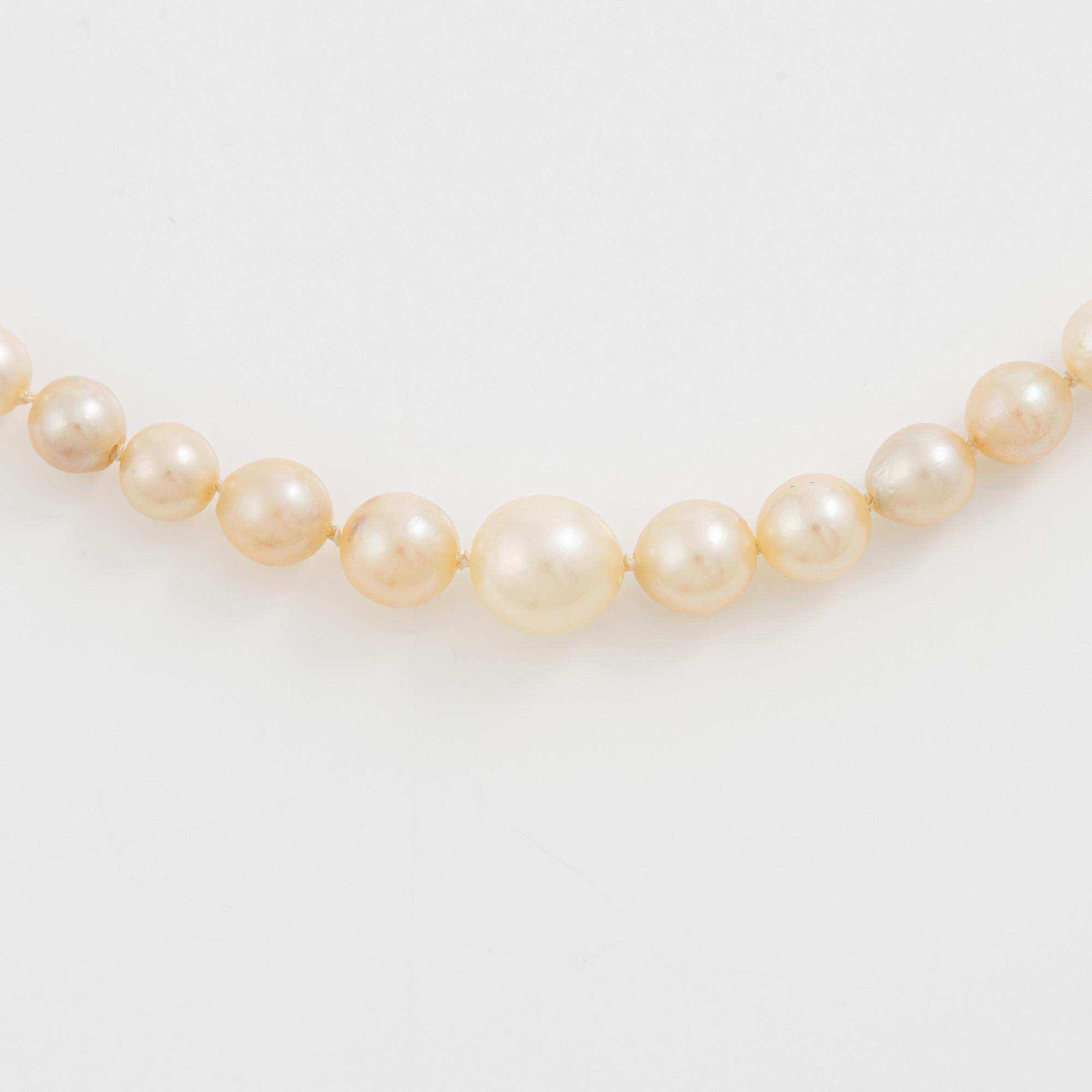 Collier odlade pärlor lås silver med paste.