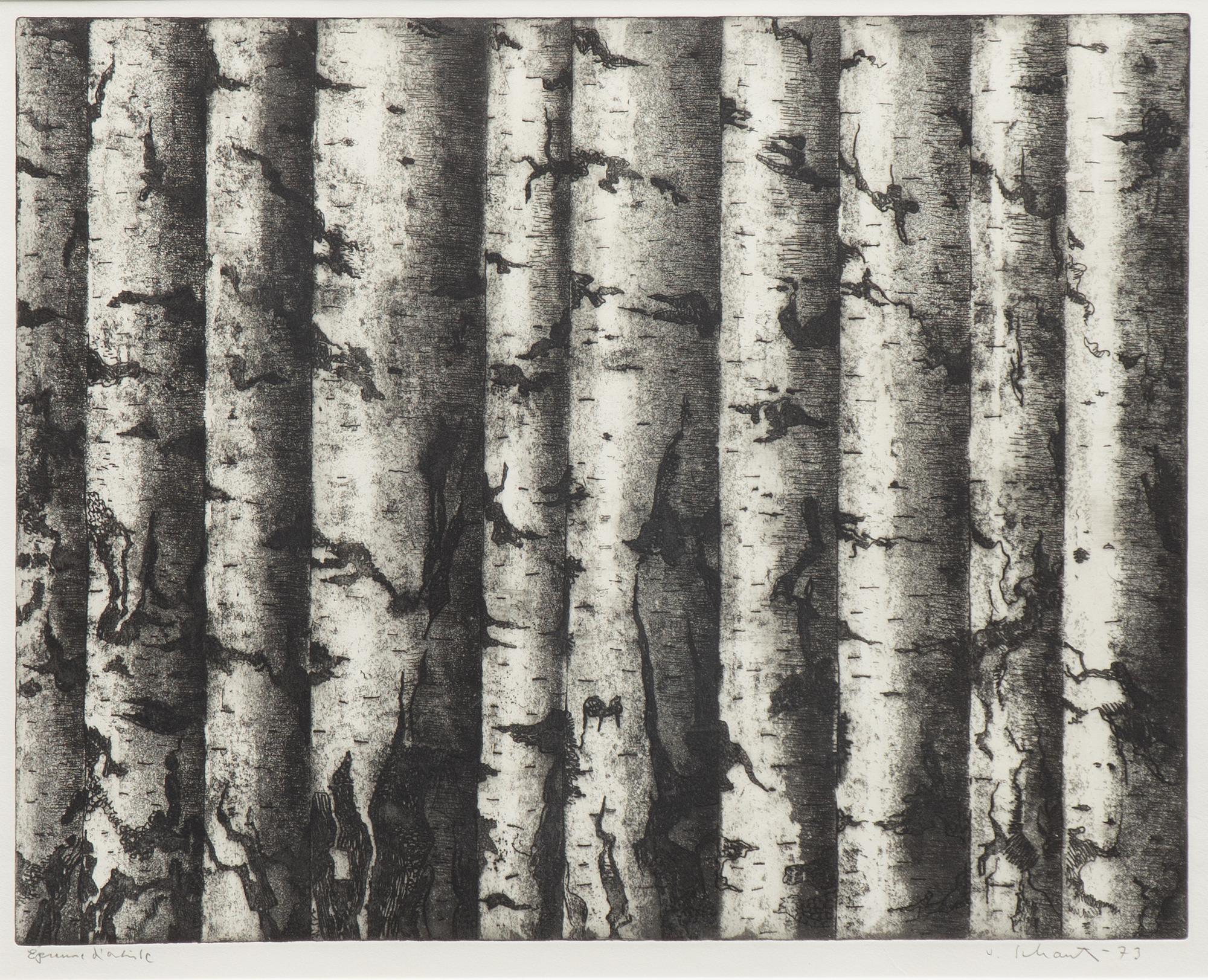 Philip von Schantz, "Björkskog".