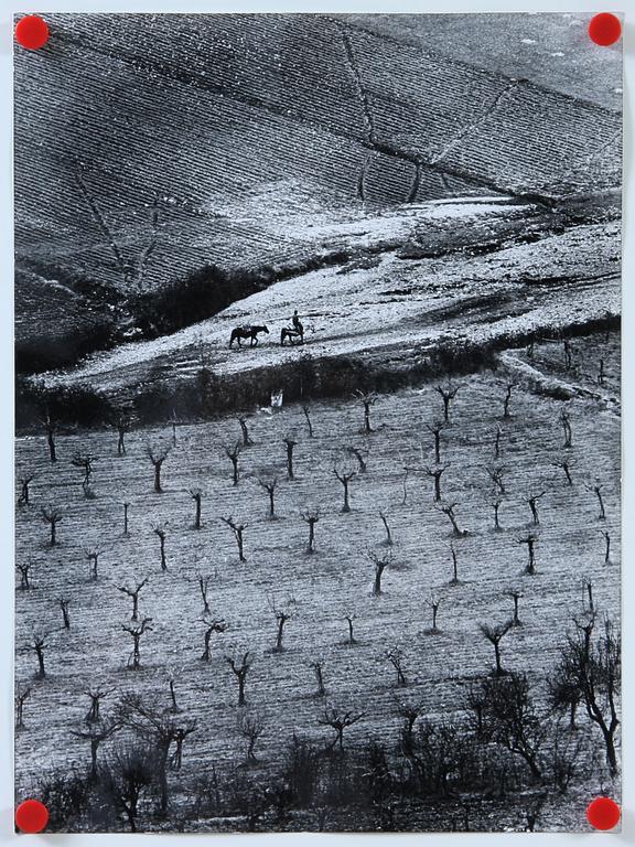 PEPI MERISIO, 3 st, fotografi, 2 sign samt 1 stämpelsign a tergo.