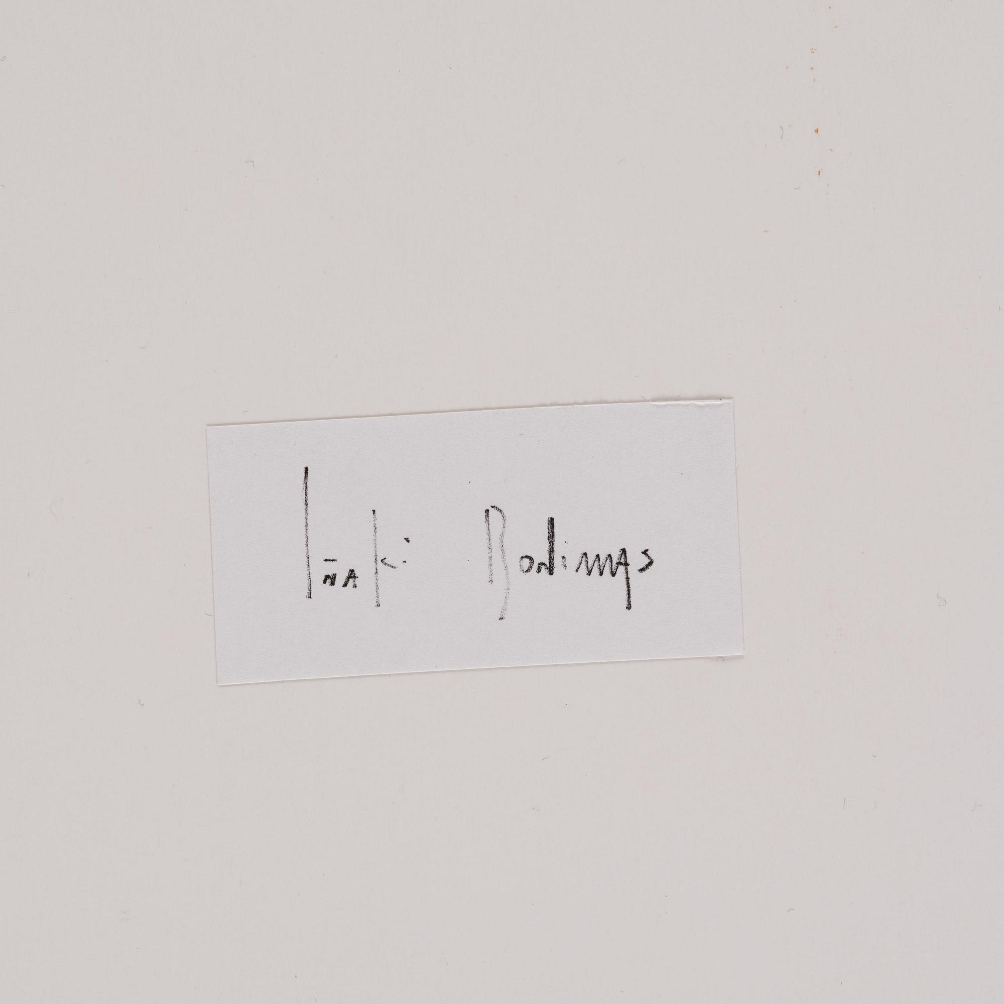 Iñaki Bonillas, "The Rain Came Last", 2013.