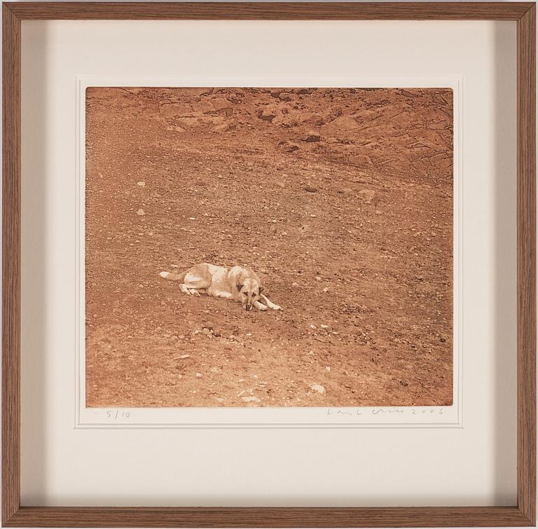 Lars Lerin,etching in colours, 2006, signed 5710.
