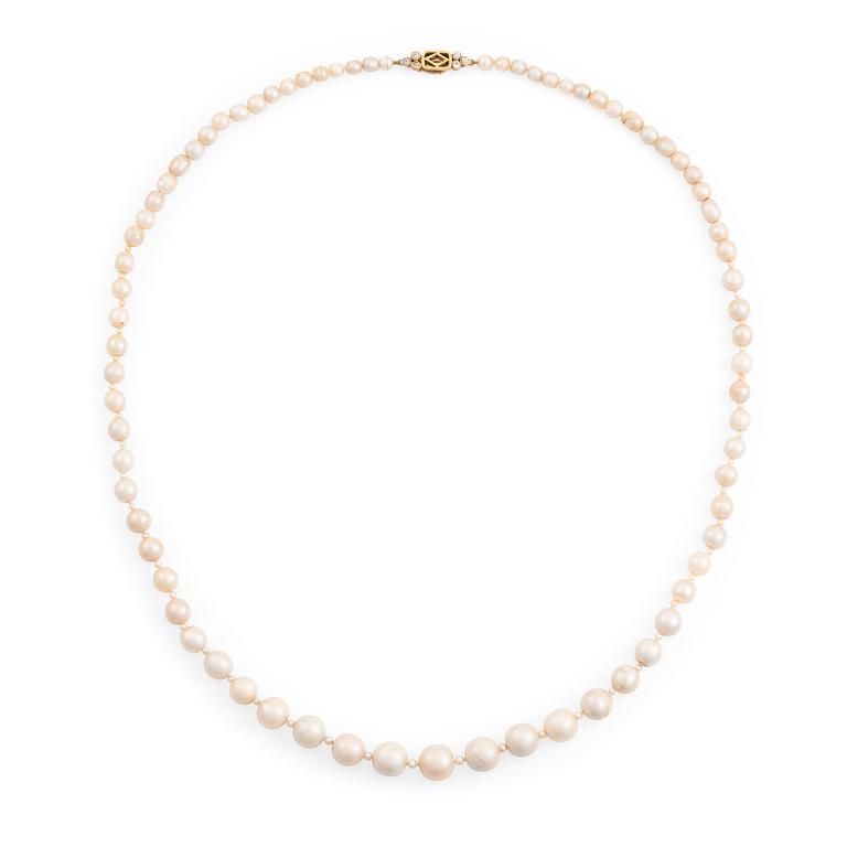 A pearl necklace.