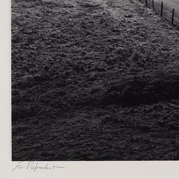 Ansel Adams, "Near Corral de Tierra", 1977.