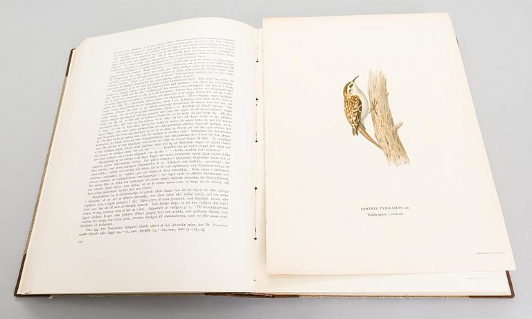 Book, 3 vol, "Svenska Fåglar", M,W & F von Wright. 1924 and 1929 Stockholm.