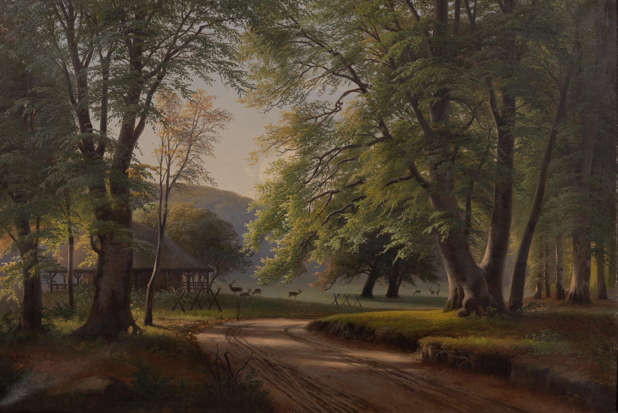 Unknown artist, Forest landscape, Denmark, 19th century.