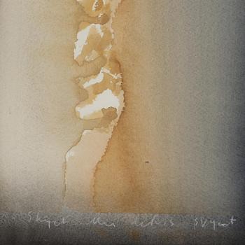 Lars Lerin, "Lofotveggen".