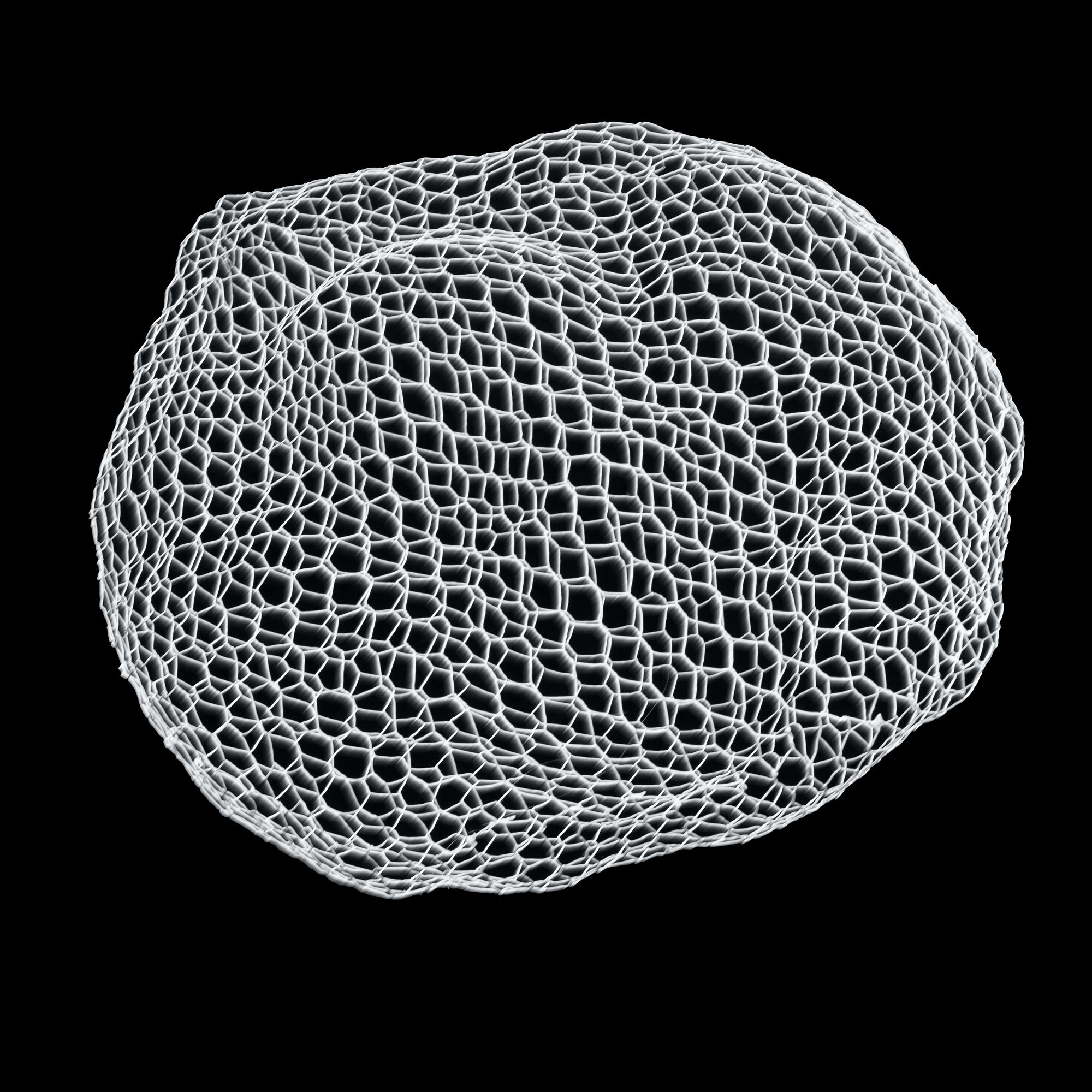 Benedetta Mori Ubaldini, 2 mobiles, 'Cloud medium' + 'Cloud small'.