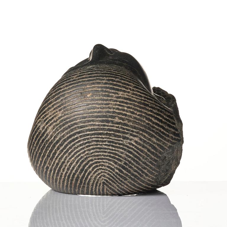 An Egyptian basalt head of a man, Grand tour, 19th century.