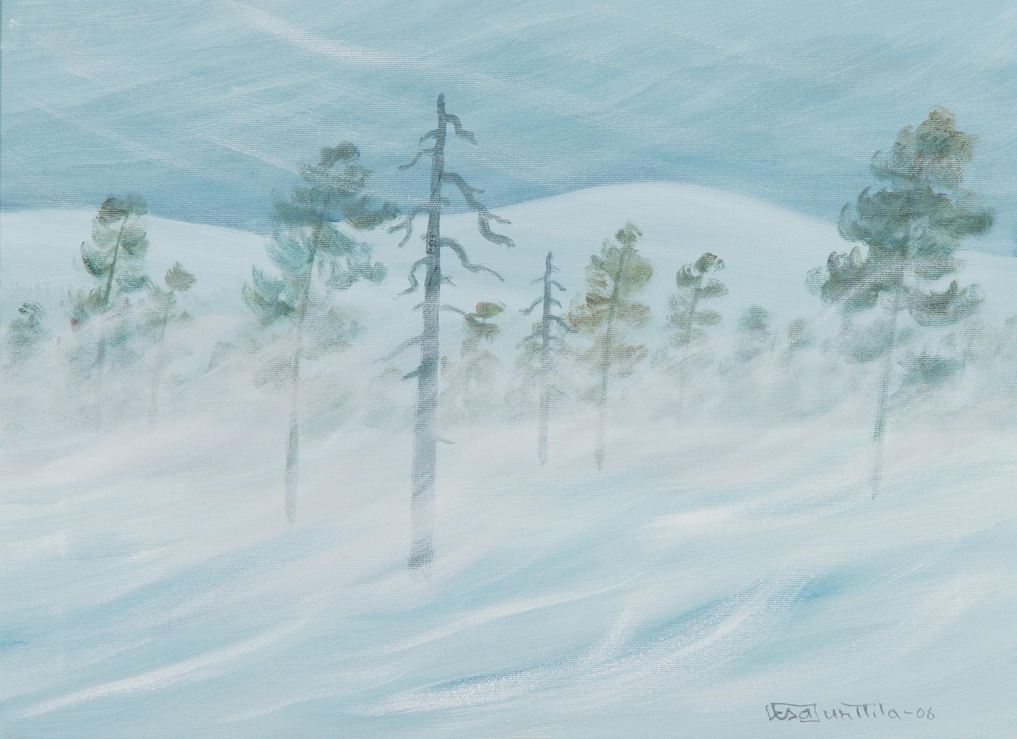 Vesa Junttila, Talvimaisema.