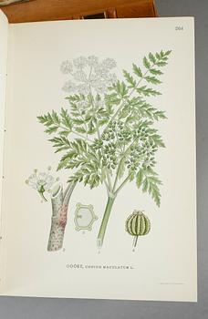 BÖCKER, 4 volymer, C.A.M Lindman. "Bilder ur Nordens Flora" Wahlström & Widstrand, 1922 samt 1 bok utan tryckår.