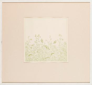 Mare Vint, "Suvi II".