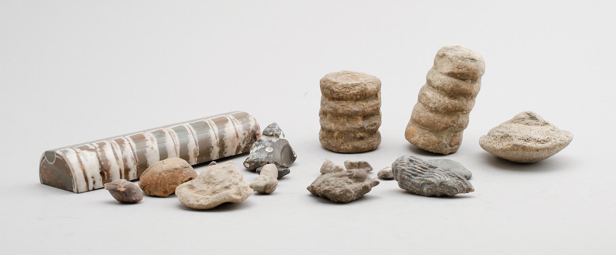 SAMLING FOSSILER, ca 18 st.