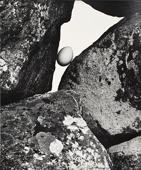 ULF SJÖSTEDET, fotografi, sign o dat 1981.