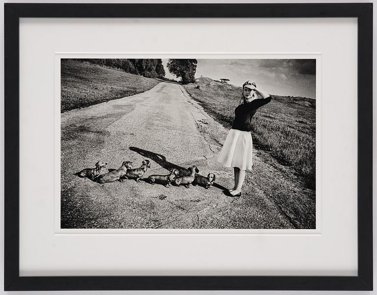 Anders Petersen, "Gärdet", 2016.