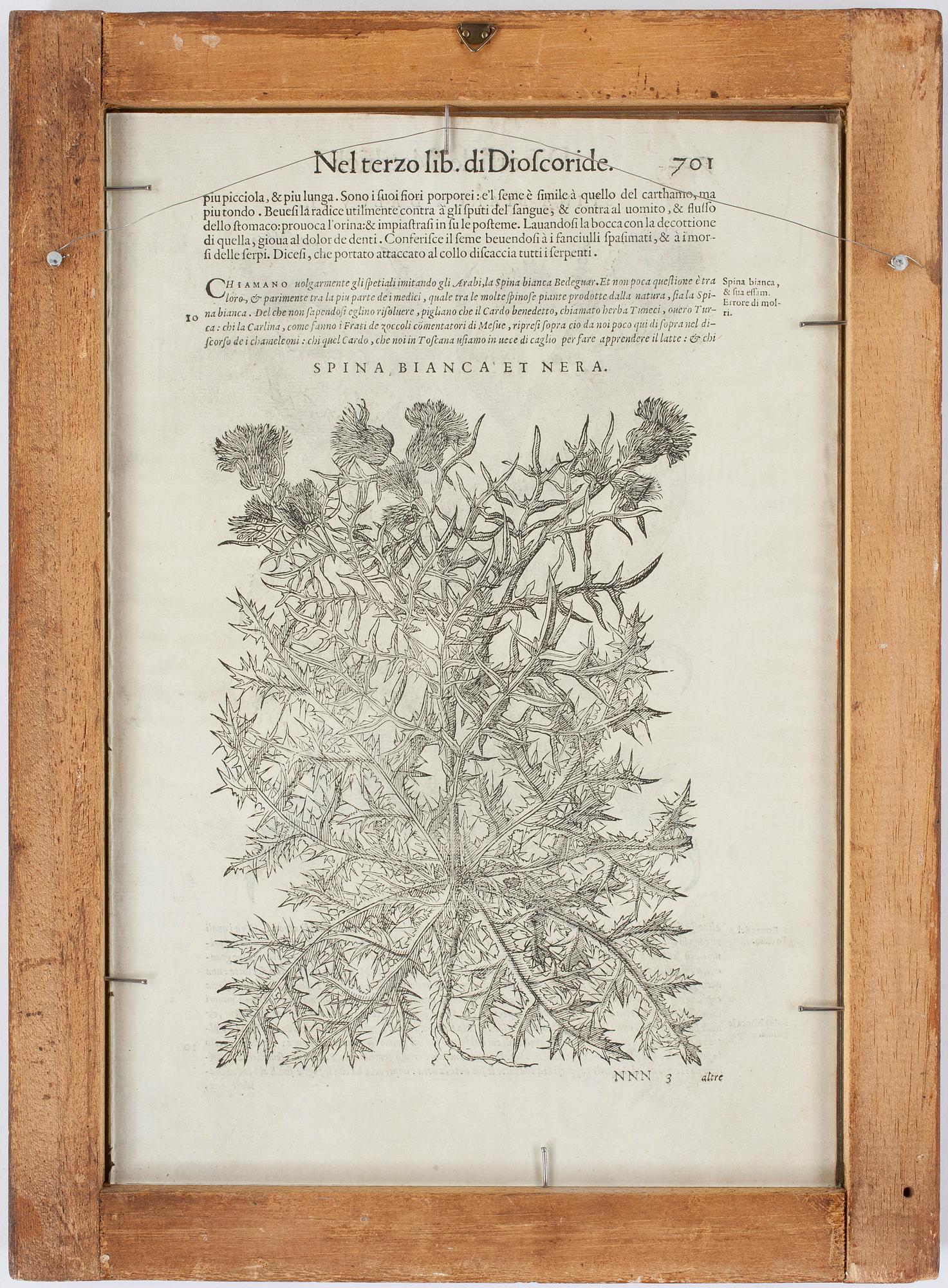 BOKBLAD, 2 st ur "Discorsi del Matthioli..." av Pietro Andrea Mattioli, 2st, Italien och troligen 1500-talets slut.
