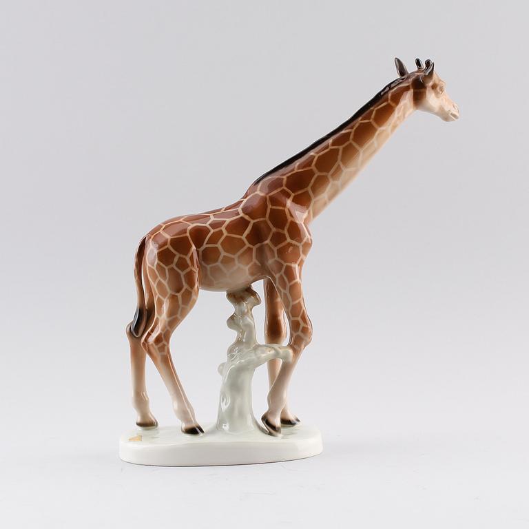 FIGURIN, porslin, Royal Dux.