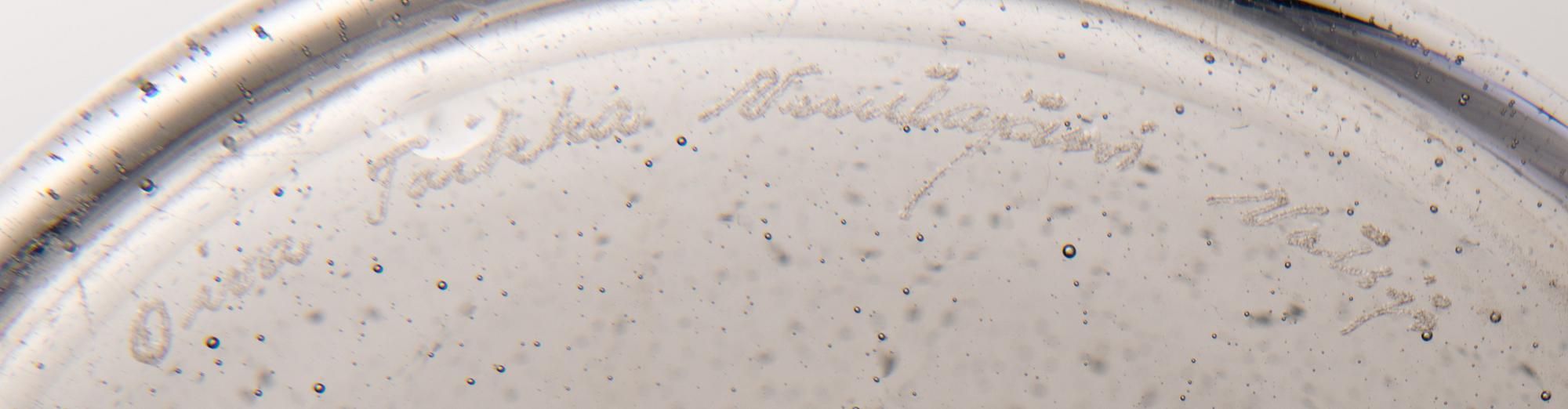 A Pompom decanter. signed Oiva Toikka Nuutajärvi Notsjö from the late 1960s.