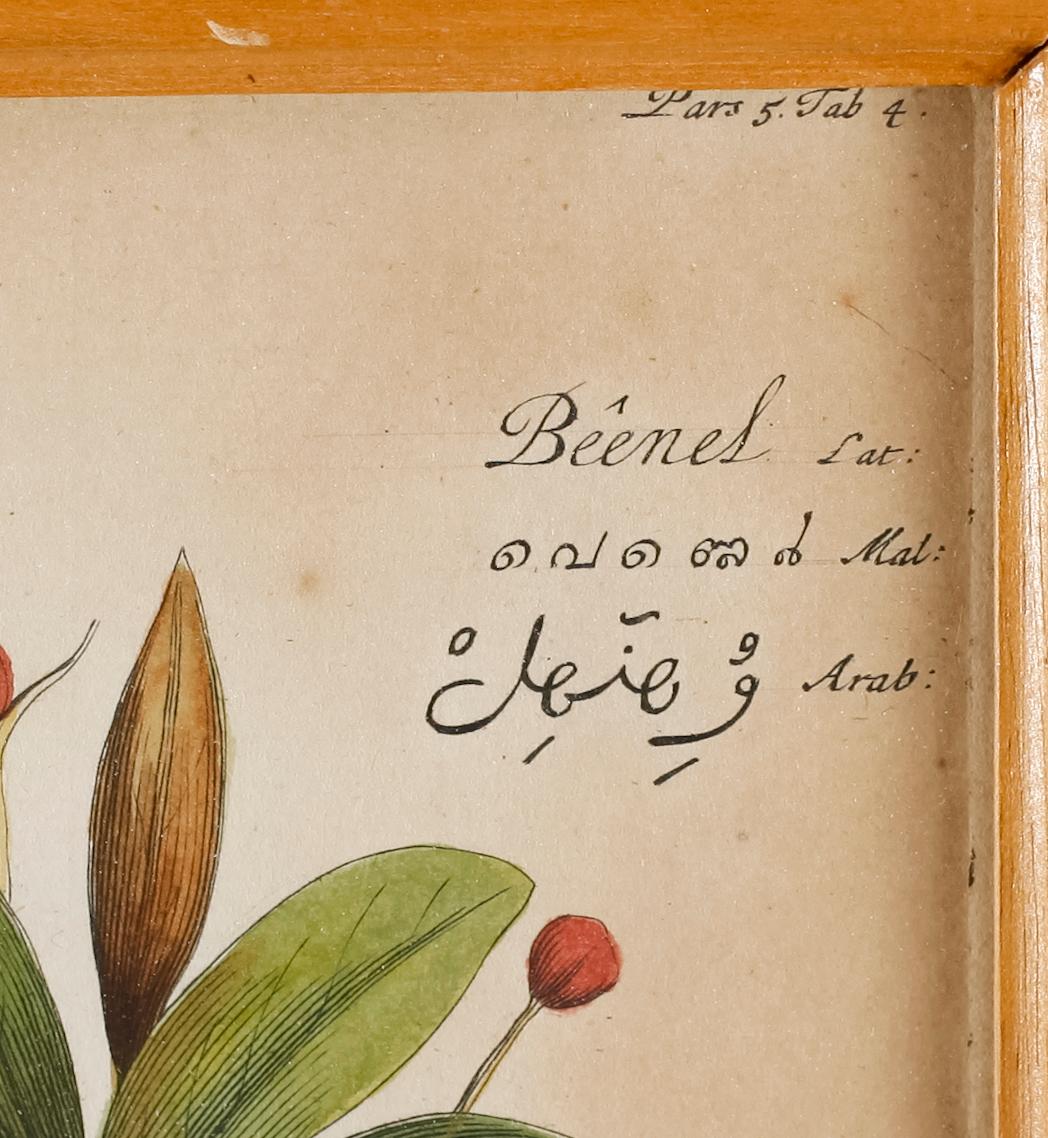 KOPPARSTICK, efter Stoppendael, 2 st,  kolorerade, 1600-/1700-tal.