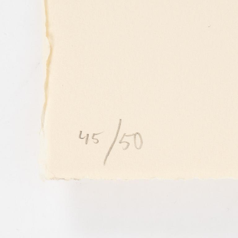 Jan Håfström, etching in colours, 2020, signed 45/50.