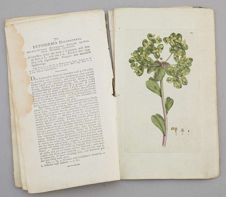 JOHAN WILHELM PALMSTRUCH, "Svensk Botanik, vol I-V. 1803-1805.