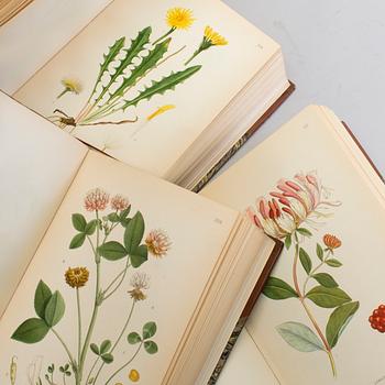 BÖCKER: Bilder ur Nordens Flora, C A M Lindman, Wahlström & Widstrand 1922-26, 3 volymer.