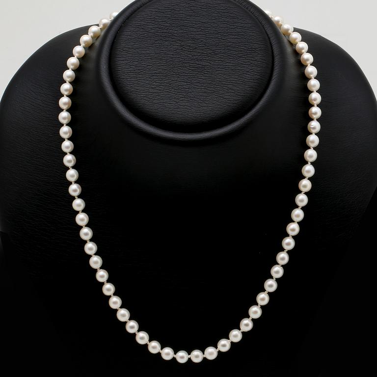 Pärlhalsband, odlade pärlor ca 6 mm, lås 18K guld, längd ca 50 cm.