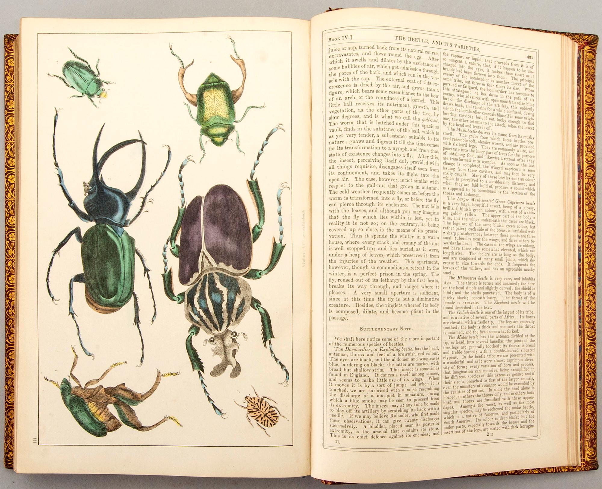 OLIVER GOLDSMITH 'A History of The Earth and Animated Nature' I-II, hand colored plates, c 1870.