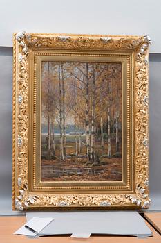 Edvard Westman, BIRCH TREES IN AUTUMN COLORS.