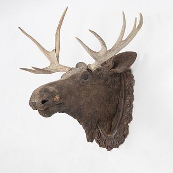 Älghuvud i skuret betsat trä med horn.