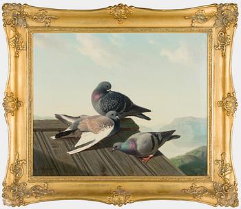 Ferdinand von Wright, Pigeons on a roof.