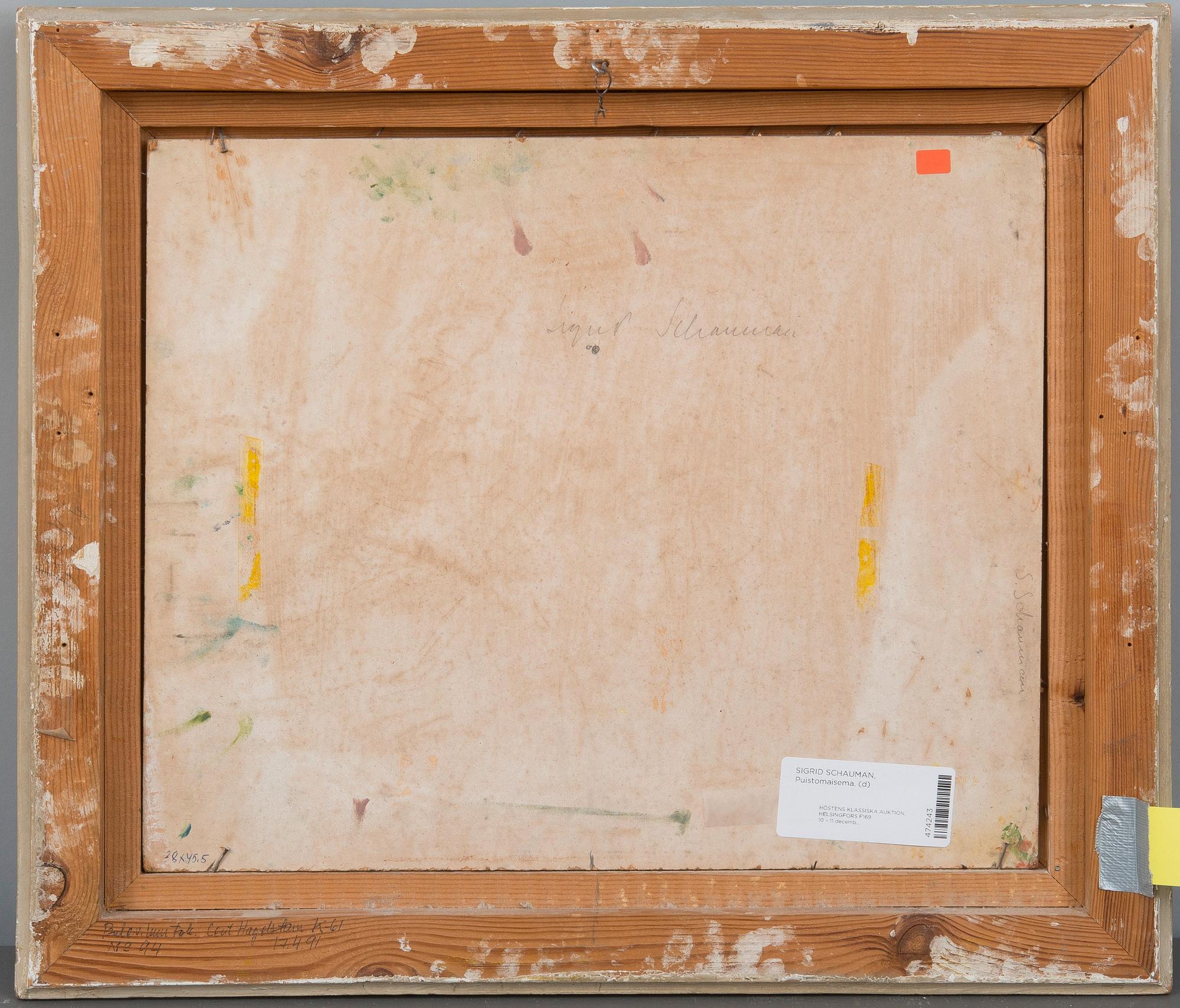 Sigrid Schauman, PUISTONÄKYMÄ.