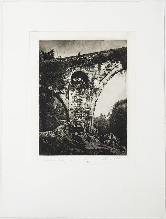 Lennart Olson, "Campas de Oris", 1991.