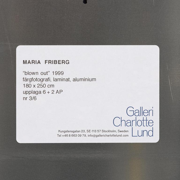 Maria Friberg, "Blown Out",1999.