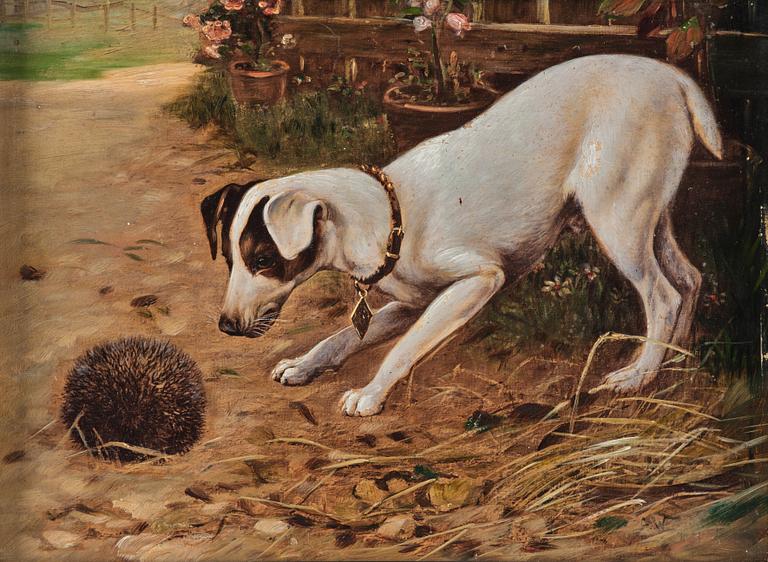 Unknown artist 19th century, possibly Alfred Weczerzick, The Hedgehog,.