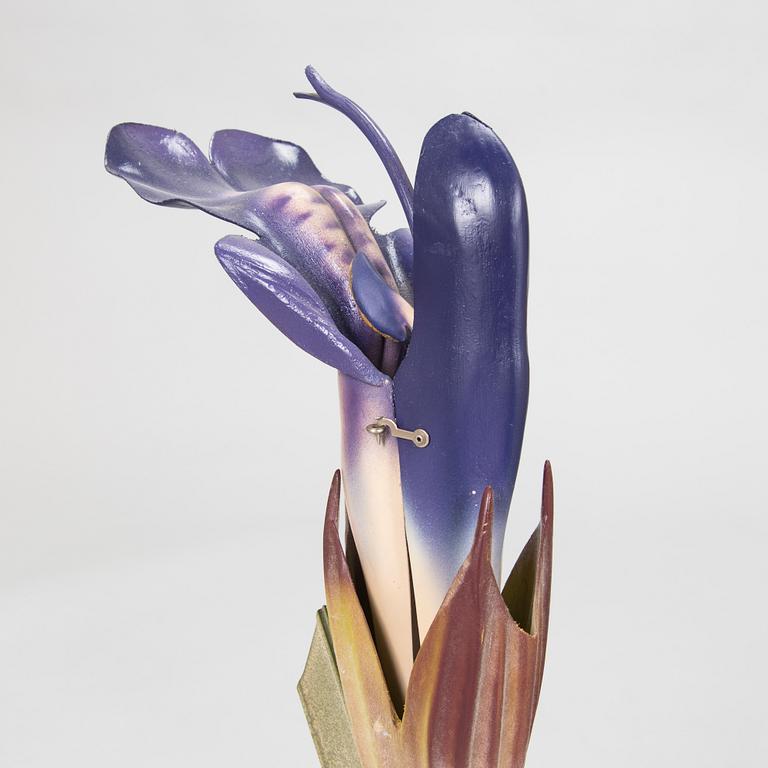 Robert Brendel & Carl Leopold Lohmeyer, A set of 4 educational materials / sculptures, "Botanic Flowers" by R. Bredel. Poland, turn of the 20th century.