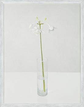 Anne Koskinen, 'My Mother Loved Red Roses IX'.