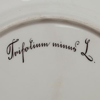 TALLRIKAR, 4 st, porslin, Flora Danica, Royal Copenhagen, 1960-tal.