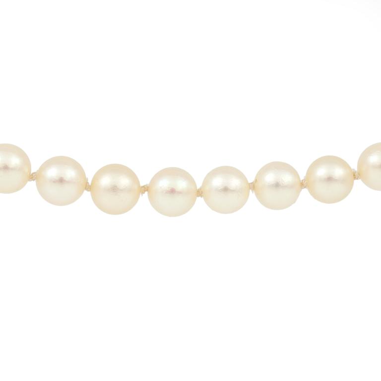 PÄRLCOLLIER, odlade pärlor med 18K guldlås. Vikt  51,5 g.