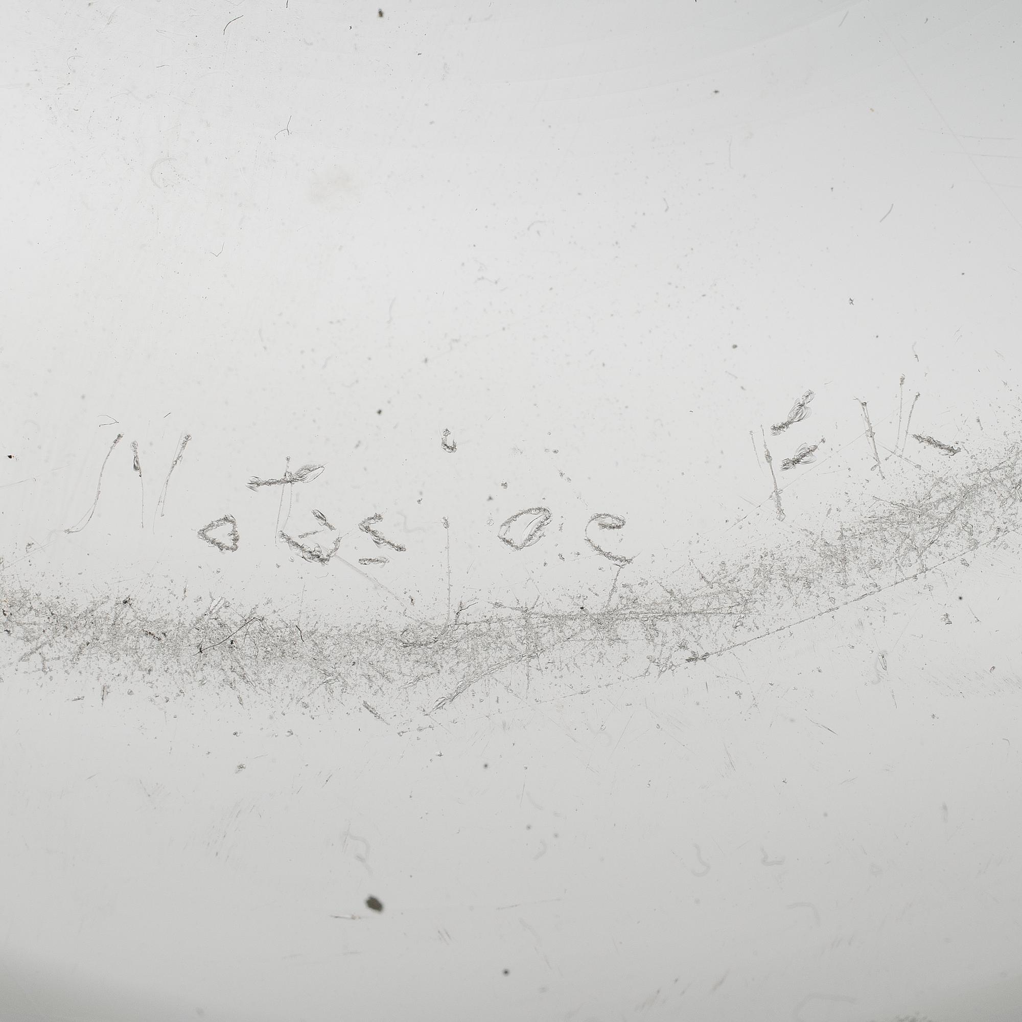 KAJ FRANCK, MALJA. Sign. Notsoe FK.