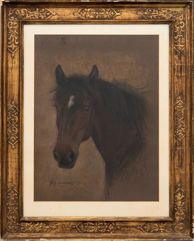 Okänd konstnär 1800/1900-tal , hästporträtt.