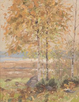 Victor Westerholm, Autumn landscape from Runsala.