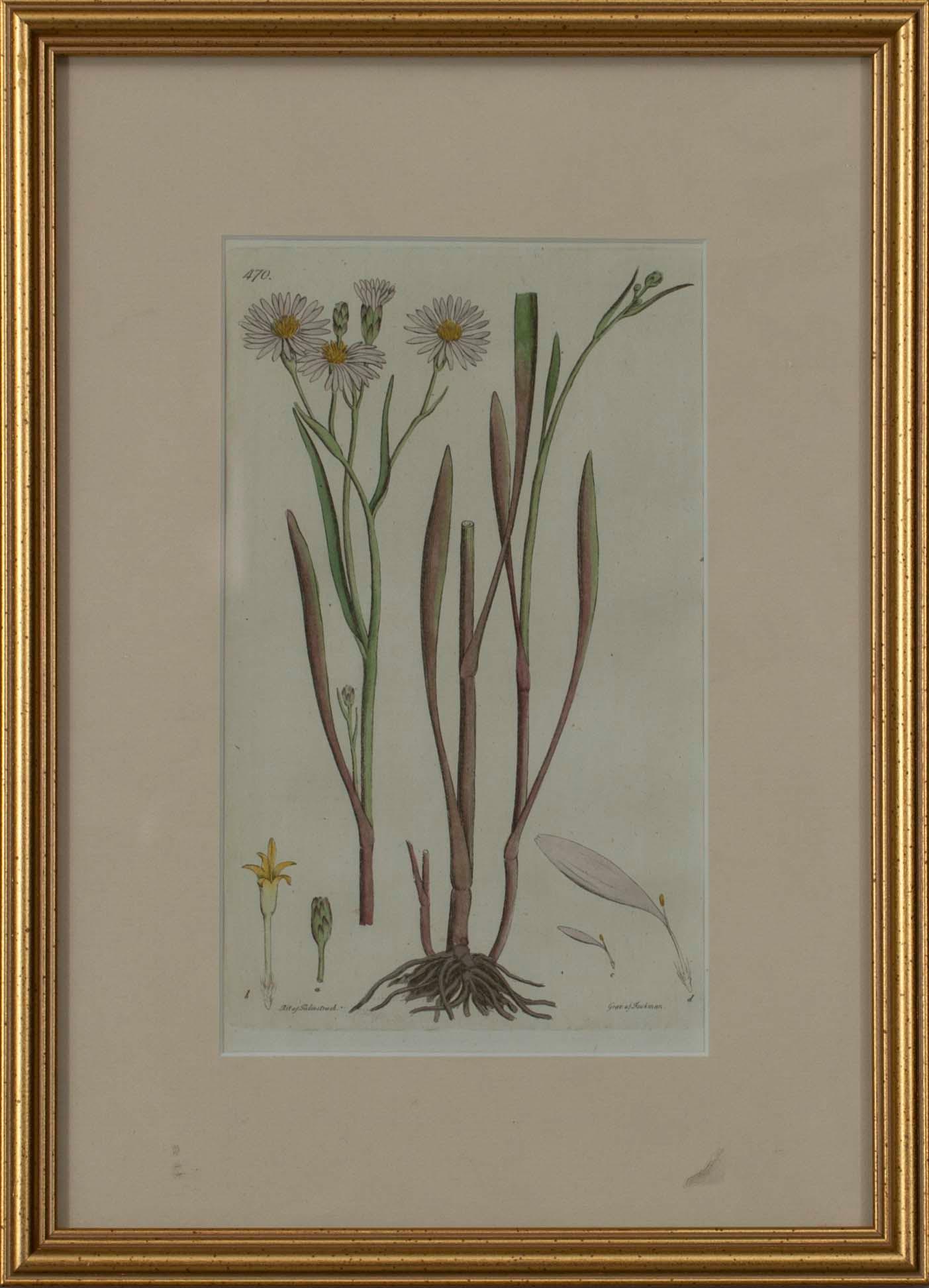 JOHAN WILHELM PALMSTRUCH, 4 st, handkolorerade kopparstick. 1800-talets början.