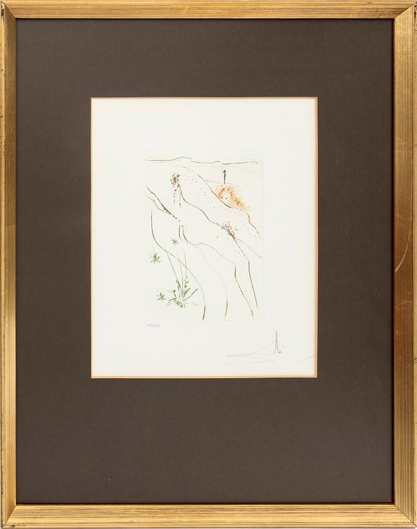 Salvador Dalí, "Le Tonneau" from "Le Décameron".