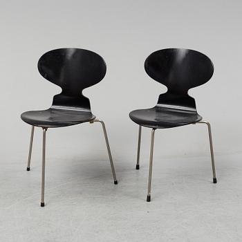 Eight 'Ant' chairs by Arne Jacobsen for Fritz Hansen.