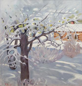 HELMI BIESE, SUNNY WINTER DAY.