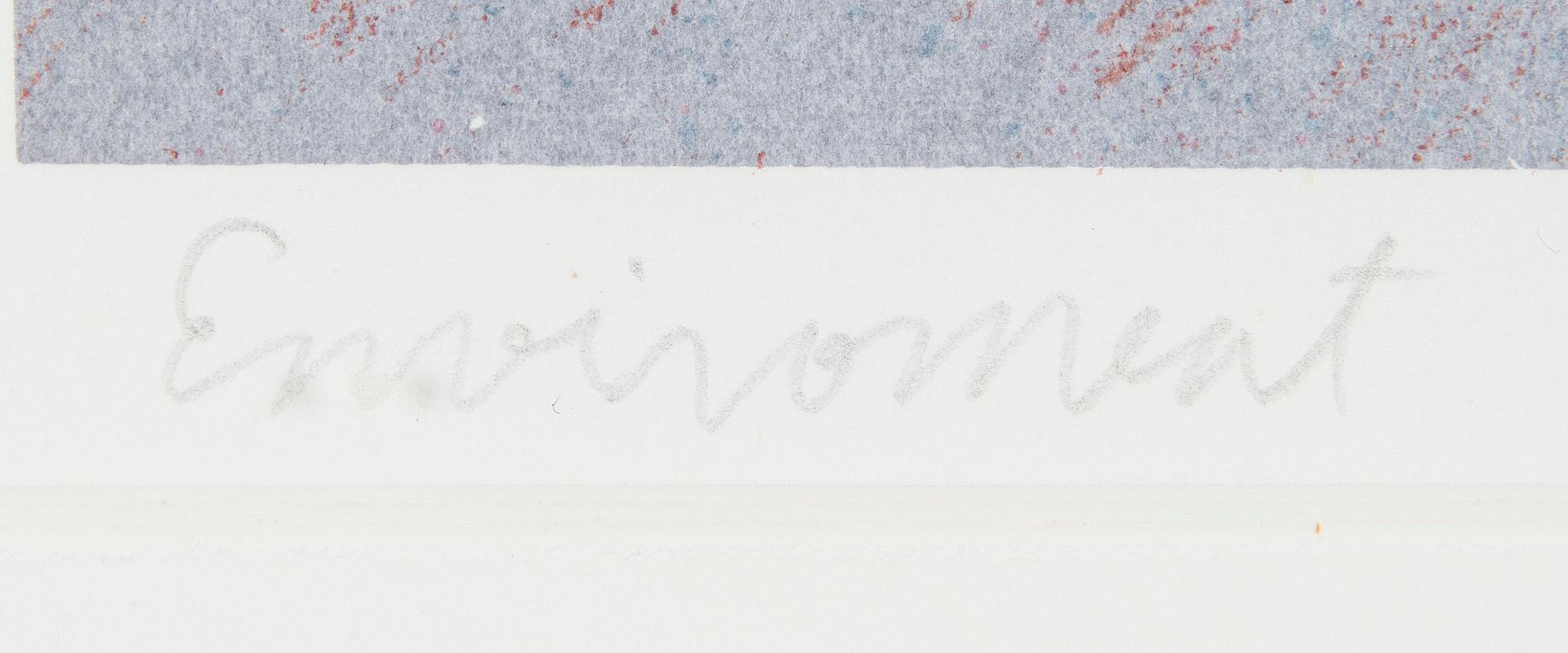 Kristian Krokfors, "Environment".