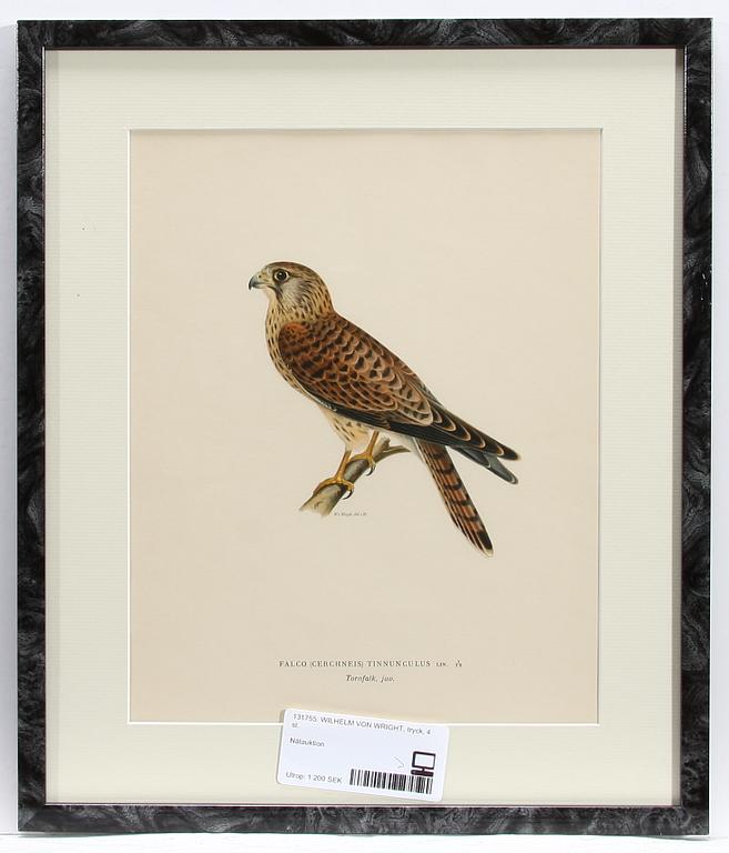 WILHELM VON WRIGHT, tryck, 4 st.