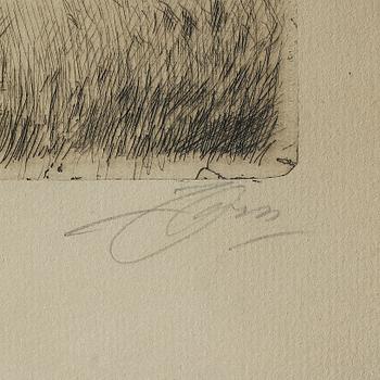 ANDERS ZORN, etsning, signerad.